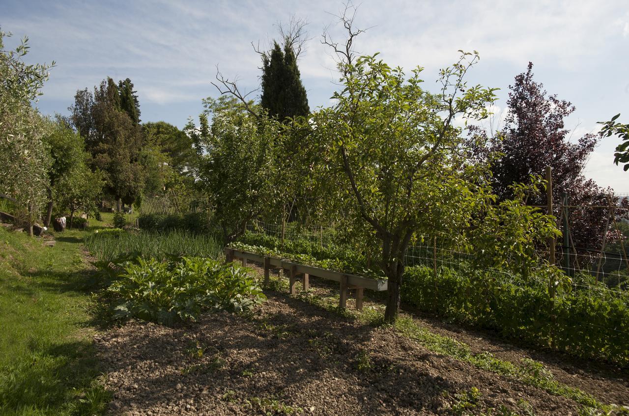 Tenuta Cambiano By Posarellivillas Castelfiorentino Kültér fotó
